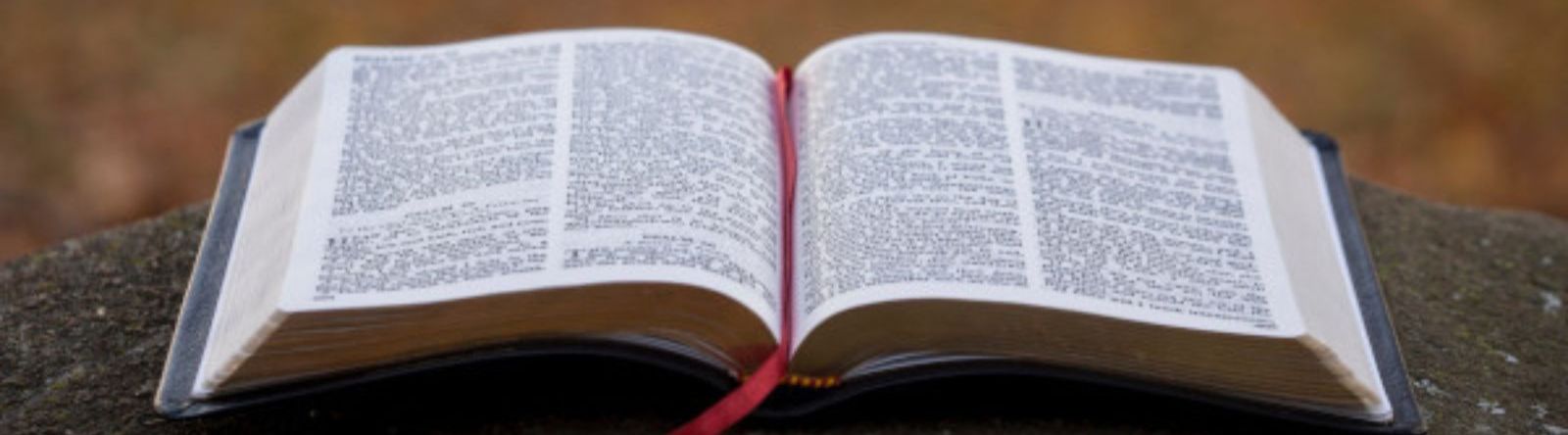 Adult Faith Formation