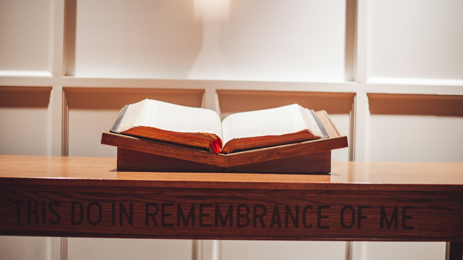 Catholic Links and Resources